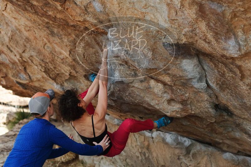 Bouldering in Hueco Tanks on 02/17/2020 with Blue Lizard Climbing and Yoga

Filename: SRM_20200217_1334530.jpg
Aperture: f/3.5
Shutter Speed: 1/400
Body: Canon EOS-1D Mark II
Lens: Canon EF 50mm f/1.8 II