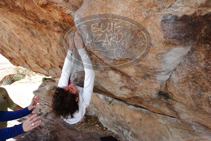 Bouldering in Hueco Tanks on 02/17/2020 with Blue Lizard Climbing and Yoga

Filename: SRM_20200217_1401570.jpg
Aperture: f/5.6
Shutter Speed: 1/400
Body: Canon EOS-1D Mark II
Lens: Canon EF 16-35mm f/2.8 L