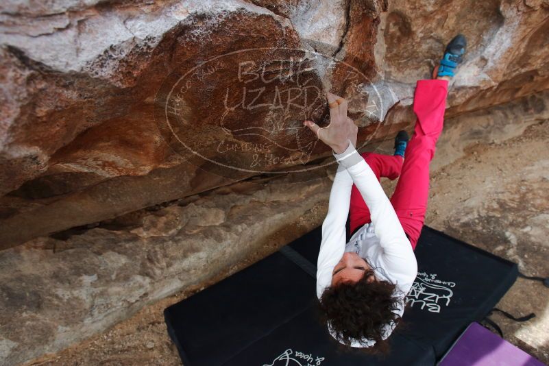 Bouldering in Hueco Tanks on 02/17/2020 with Blue Lizard Climbing and Yoga

Filename: SRM_20200217_1428470.jpg
Aperture: f/5.6
Shutter Speed: 1/400
Body: Canon EOS-1D Mark II
Lens: Canon EF 16-35mm f/2.8 L