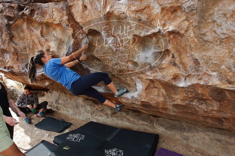 Bouldering in Hueco Tanks on 02/17/2020 with Blue Lizard Climbing and Yoga

Filename: SRM_20200217_1436050.jpg
Aperture: f/5.6
Shutter Speed: 1/250
Body: Canon EOS-1D Mark II
Lens: Canon EF 16-35mm f/2.8 L