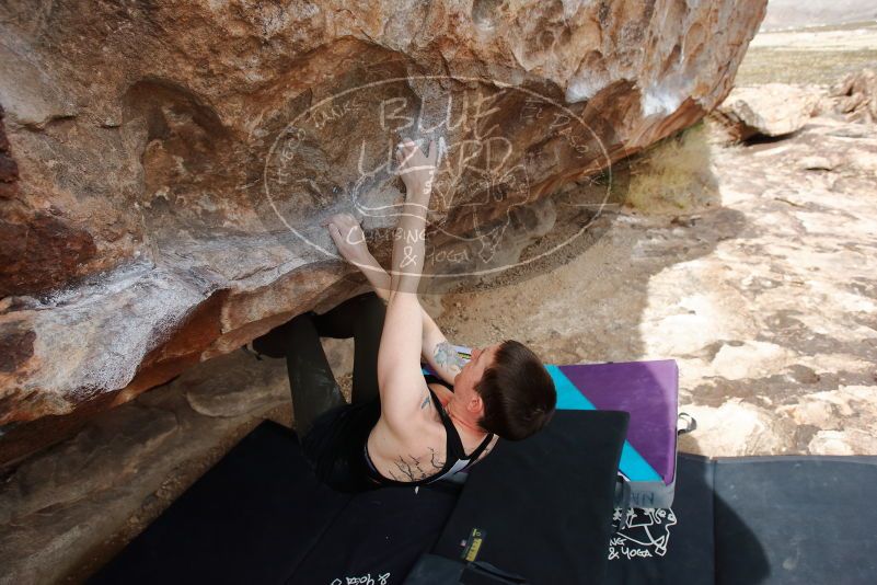 Bouldering in Hueco Tanks on 02/17/2020 with Blue Lizard Climbing and Yoga

Filename: SRM_20200217_1441580.jpg
Aperture: f/5.0
Shutter Speed: 1/400
Body: Canon EOS-1D Mark II
Lens: Canon EF 16-35mm f/2.8 L