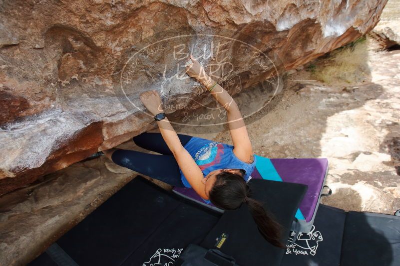 Bouldering in Hueco Tanks on 02/17/2020 with Blue Lizard Climbing and Yoga

Filename: SRM_20200217_1442570.jpg
Aperture: f/4.5
Shutter Speed: 1/400
Body: Canon EOS-1D Mark II
Lens: Canon EF 16-35mm f/2.8 L