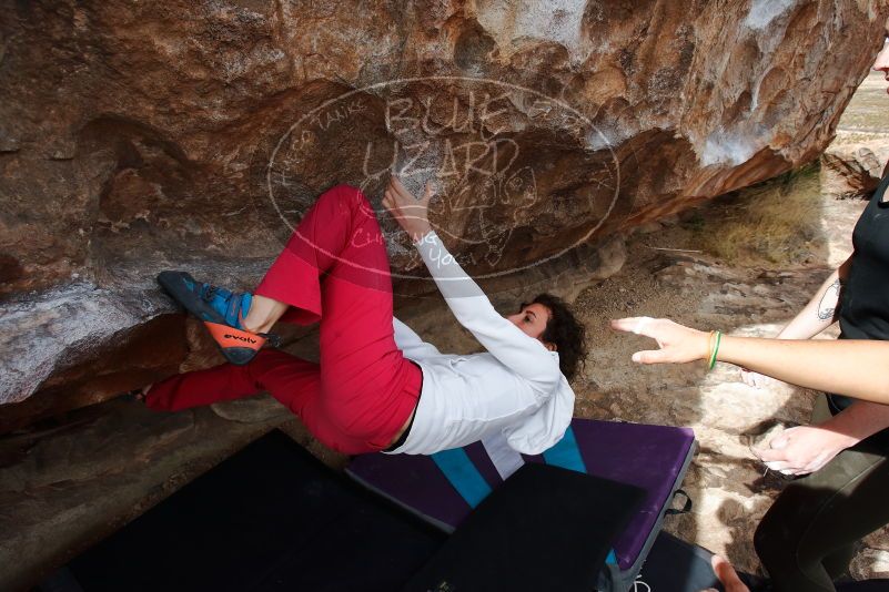 Bouldering in Hueco Tanks on 02/17/2020 with Blue Lizard Climbing and Yoga

Filename: SRM_20200217_1444440.jpg
Aperture: f/6.3
Shutter Speed: 1/400
Body: Canon EOS-1D Mark II
Lens: Canon EF 16-35mm f/2.8 L