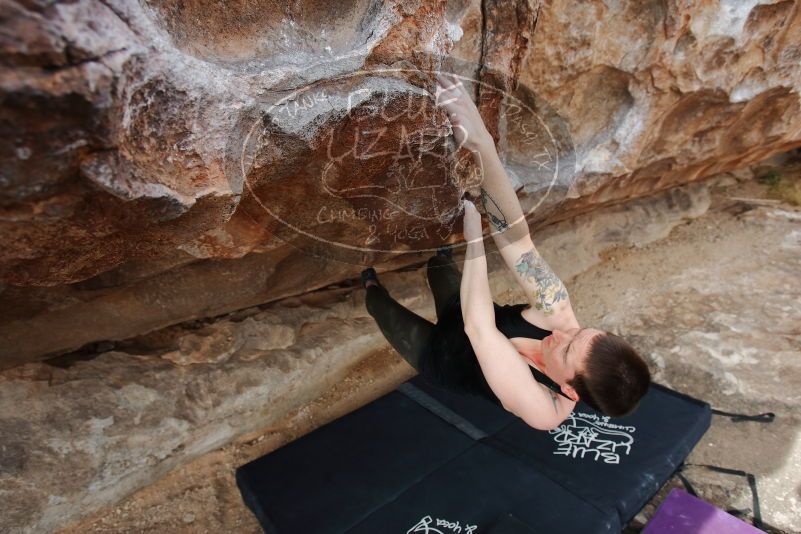 Bouldering in Hueco Tanks on 02/17/2020 with Blue Lizard Climbing and Yoga

Filename: SRM_20200217_1452190.jpg
Aperture: f/5.0
Shutter Speed: 1/320
Body: Canon EOS-1D Mark II
Lens: Canon EF 16-35mm f/2.8 L