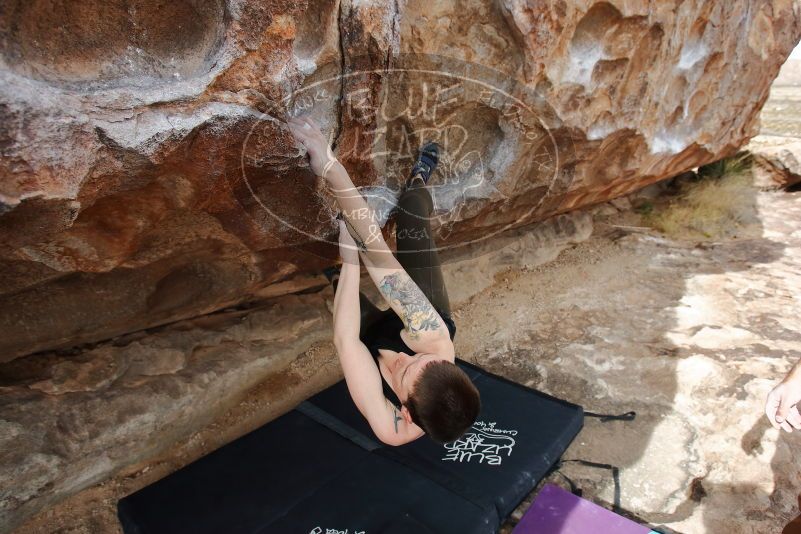 Bouldering in Hueco Tanks on 02/17/2020 with Blue Lizard Climbing and Yoga

Filename: SRM_20200217_1452431.jpg
Aperture: f/5.6
Shutter Speed: 1/320
Body: Canon EOS-1D Mark II
Lens: Canon EF 16-35mm f/2.8 L