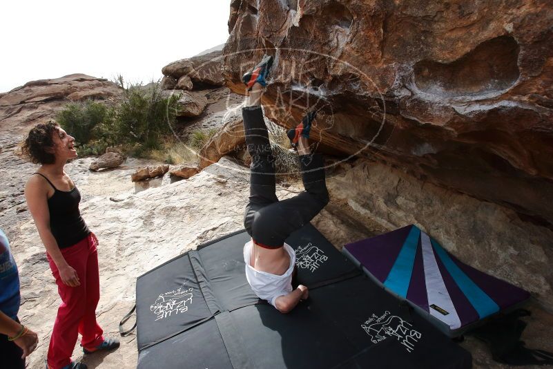 Bouldering in Hueco Tanks on 02/17/2020 with Blue Lizard Climbing and Yoga

Filename: SRM_20200217_1504360.jpg
Aperture: f/7.1
Shutter Speed: 1/320
Body: Canon EOS-1D Mark II
Lens: Canon EF 16-35mm f/2.8 L