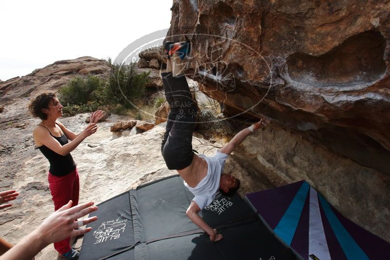 Bouldering in Hueco Tanks on 02/17/2020 with Blue Lizard Climbing and Yoga

Filename: SRM_20200217_1505190.jpg
Aperture: f/8.0
Shutter Speed: 1/320
Body: Canon EOS-1D Mark II
Lens: Canon EF 16-35mm f/2.8 L