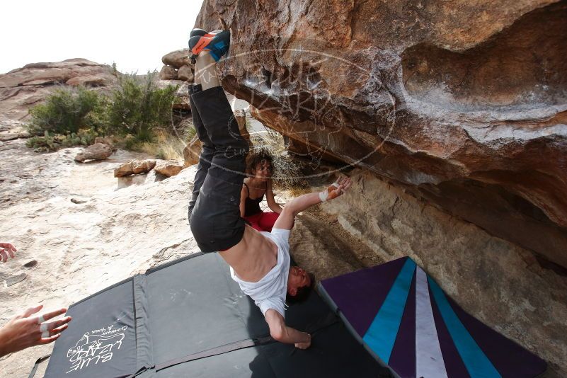 Bouldering in Hueco Tanks on 02/17/2020 with Blue Lizard Climbing and Yoga

Filename: SRM_20200217_1505330.jpg
Aperture: f/6.3
Shutter Speed: 1/320
Body: Canon EOS-1D Mark II
Lens: Canon EF 16-35mm f/2.8 L