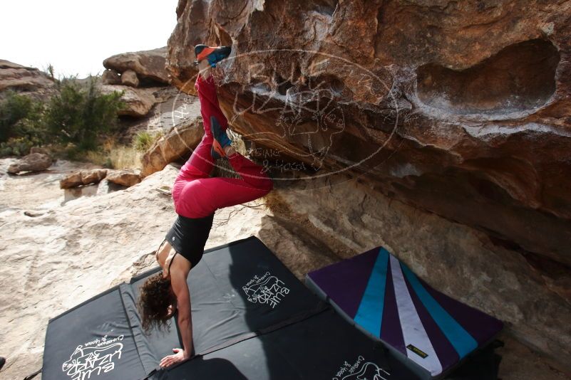 Bouldering in Hueco Tanks on 02/17/2020 with Blue Lizard Climbing and Yoga

Filename: SRM_20200217_1506200.jpg
Aperture: f/8.0
Shutter Speed: 1/320
Body: Canon EOS-1D Mark II
Lens: Canon EF 16-35mm f/2.8 L