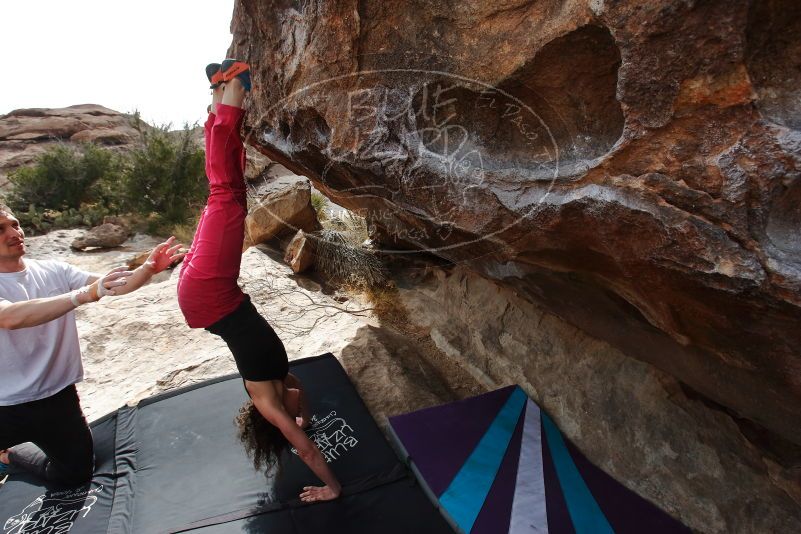 Bouldering in Hueco Tanks on 02/17/2020 with Blue Lizard Climbing and Yoga

Filename: SRM_20200217_1506570.jpg
Aperture: f/7.1
Shutter Speed: 1/320
Body: Canon EOS-1D Mark II
Lens: Canon EF 16-35mm f/2.8 L