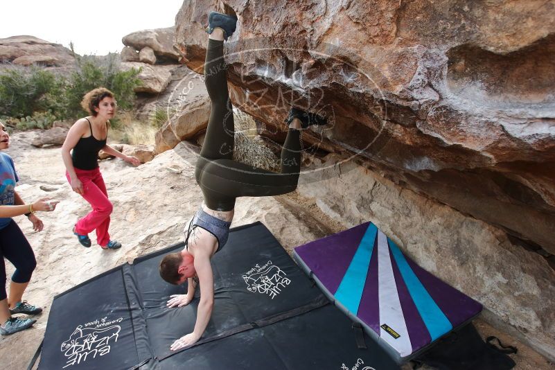 Bouldering in Hueco Tanks on 02/17/2020 with Blue Lizard Climbing and Yoga

Filename: SRM_20200217_1514330.jpg
Aperture: f/4.5
Shutter Speed: 1/320
Body: Canon EOS-1D Mark II
Lens: Canon EF 16-35mm f/2.8 L