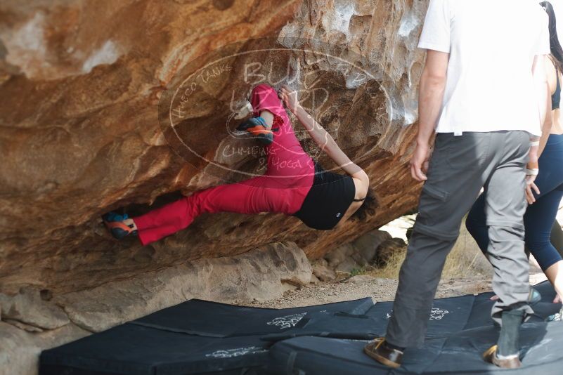 Bouldering in Hueco Tanks on 02/17/2020 with Blue Lizard Climbing and Yoga

Filename: SRM_20200217_1519430.jpg
Aperture: f/3.2
Shutter Speed: 1/400
Body: Canon EOS-1D Mark II
Lens: Canon EF 50mm f/1.8 II