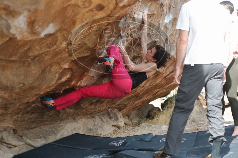 Bouldering in Hueco Tanks on 02/17/2020 with Blue Lizard Climbing and Yoga

Filename: SRM_20200217_1519480.jpg
Aperture: f/3.2
Shutter Speed: 1/400
Body: Canon EOS-1D Mark II
Lens: Canon EF 50mm f/1.8 II