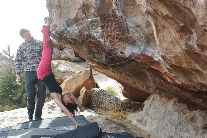 Bouldering in Hueco Tanks on 02/17/2020 with Blue Lizard Climbing and Yoga

Filename: SRM_20200217_1531250.jpg
Aperture: f/5.0
Shutter Speed: 1/250
Body: Canon EOS-1D Mark II
Lens: Canon EF 50mm f/1.8 II