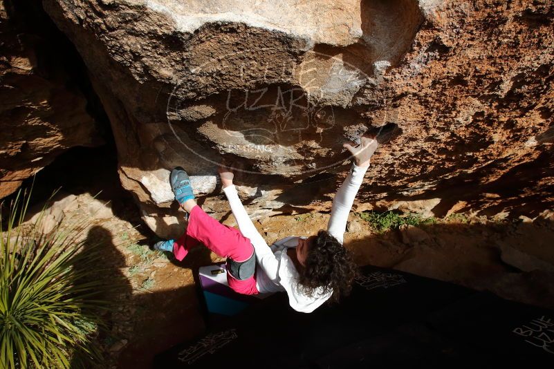 Bouldering in Hueco Tanks on 02/17/2020 with Blue Lizard Climbing and Yoga

Filename: SRM_20200217_1614140.jpg
Aperture: f/7.1
Shutter Speed: 1/500
Body: Canon EOS-1D Mark II
Lens: Canon EF 16-35mm f/2.8 L