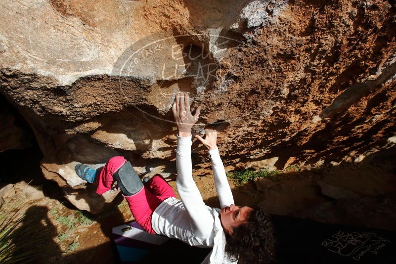 Bouldering in Hueco Tanks on 02/17/2020 with Blue Lizard Climbing and Yoga

Filename: SRM_20200217_1614160.jpg
Aperture: f/8.0
Shutter Speed: 1/500
Body: Canon EOS-1D Mark II
Lens: Canon EF 16-35mm f/2.8 L