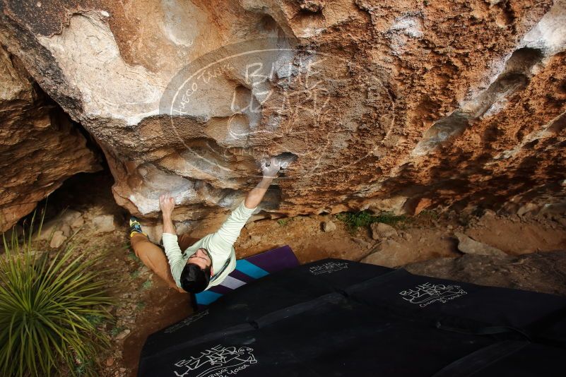 Bouldering in Hueco Tanks on 02/17/2020 with Blue Lizard Climbing and Yoga

Filename: SRM_20200217_1619590.jpg
Aperture: f/4.0
Shutter Speed: 1/500
Body: Canon EOS-1D Mark II
Lens: Canon EF 16-35mm f/2.8 L