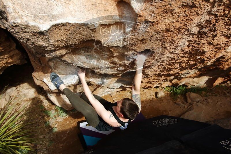 Bouldering in Hueco Tanks on 02/17/2020 with Blue Lizard Climbing and Yoga

Filename: SRM_20200217_1621210.jpg
Aperture: f/5.0
Shutter Speed: 1/500
Body: Canon EOS-1D Mark II
Lens: Canon EF 16-35mm f/2.8 L