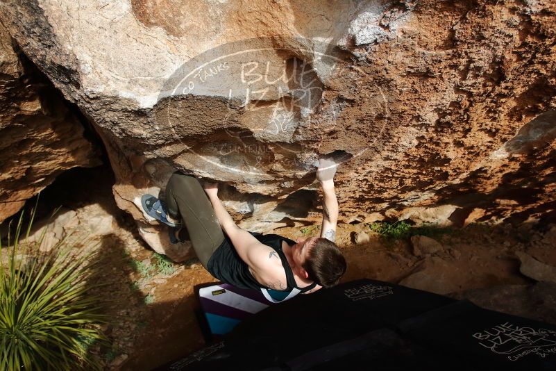 Bouldering in Hueco Tanks on 02/17/2020 with Blue Lizard Climbing and Yoga

Filename: SRM_20200217_1621250.jpg
Aperture: f/5.6
Shutter Speed: 1/500
Body: Canon EOS-1D Mark II
Lens: Canon EF 16-35mm f/2.8 L