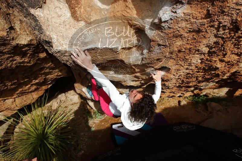 Bouldering in Hueco Tanks on 02/17/2020 with Blue Lizard Climbing and Yoga

Filename: SRM_20200217_1621530.jpg
Aperture: f/7.1
Shutter Speed: 1/500
Body: Canon EOS-1D Mark II
Lens: Canon EF 16-35mm f/2.8 L