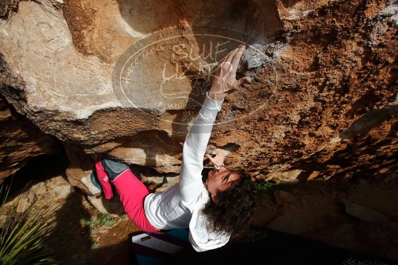 Bouldering in Hueco Tanks on 02/17/2020 with Blue Lizard Climbing and Yoga

Filename: SRM_20200217_1621570.jpg
Aperture: f/8.0
Shutter Speed: 1/500
Body: Canon EOS-1D Mark II
Lens: Canon EF 16-35mm f/2.8 L