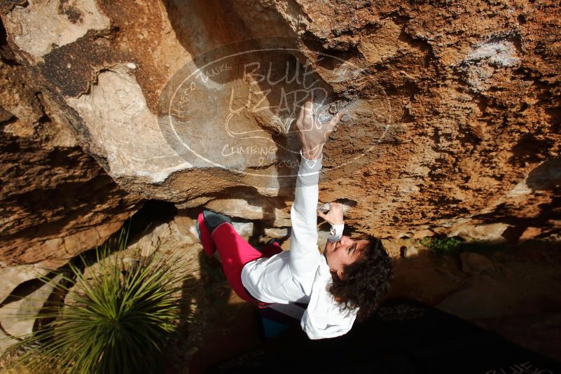 Bouldering in Hueco Tanks on 02/17/2020 with Blue Lizard Climbing and Yoga

Filename: SRM_20200217_1622060.jpg
Aperture: f/8.0
Shutter Speed: 1/500
Body: Canon EOS-1D Mark II
Lens: Canon EF 16-35mm f/2.8 L