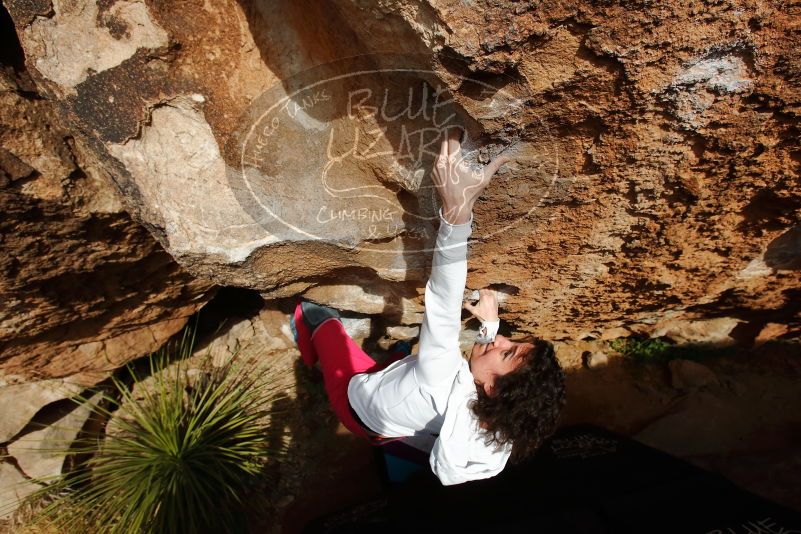 Bouldering in Hueco Tanks on 02/17/2020 with Blue Lizard Climbing and Yoga

Filename: SRM_20200217_1622061.jpg
Aperture: f/8.0
Shutter Speed: 1/500
Body: Canon EOS-1D Mark II
Lens: Canon EF 16-35mm f/2.8 L