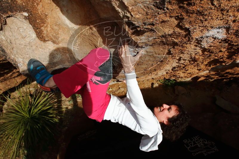 Bouldering in Hueco Tanks on 02/17/2020 with Blue Lizard Climbing and Yoga

Filename: SRM_20200217_1622140.jpg
Aperture: f/8.0
Shutter Speed: 1/500
Body: Canon EOS-1D Mark II
Lens: Canon EF 16-35mm f/2.8 L