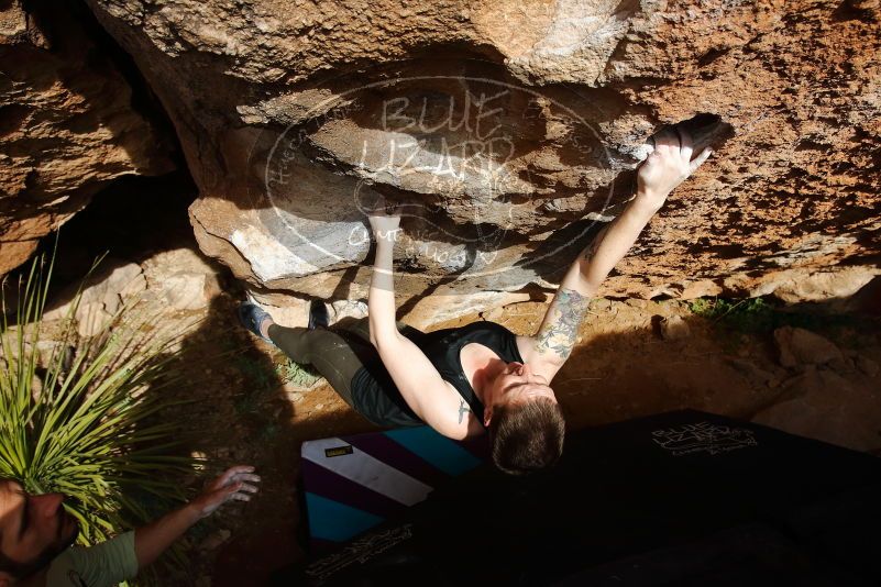 Bouldering in Hueco Tanks on 02/17/2020 with Blue Lizard Climbing and Yoga

Filename: SRM_20200217_1625260.jpg
Aperture: f/6.3
Shutter Speed: 1/500
Body: Canon EOS-1D Mark II
Lens: Canon EF 16-35mm f/2.8 L