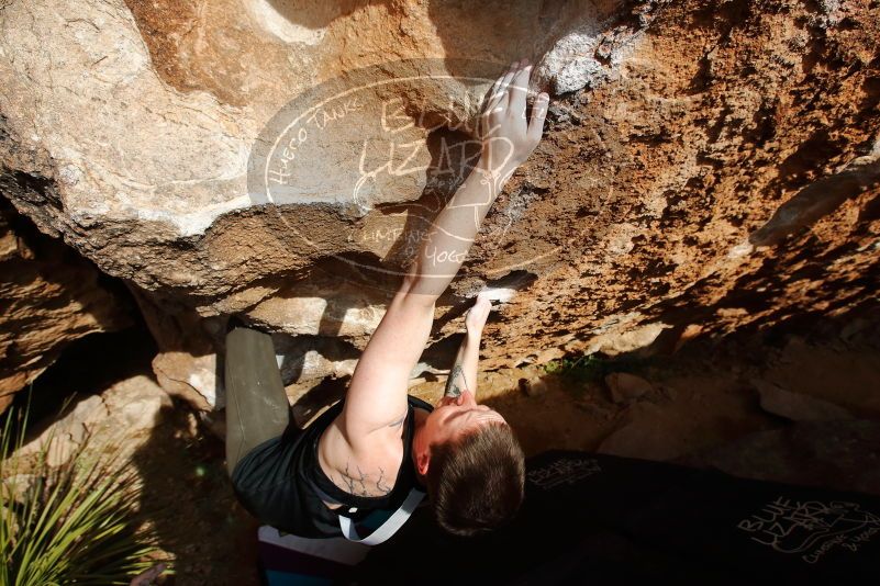 Bouldering in Hueco Tanks on 02/17/2020 with Blue Lizard Climbing and Yoga

Filename: SRM_20200217_1625420.jpg
Aperture: f/7.1
Shutter Speed: 1/500
Body: Canon EOS-1D Mark II
Lens: Canon EF 16-35mm f/2.8 L