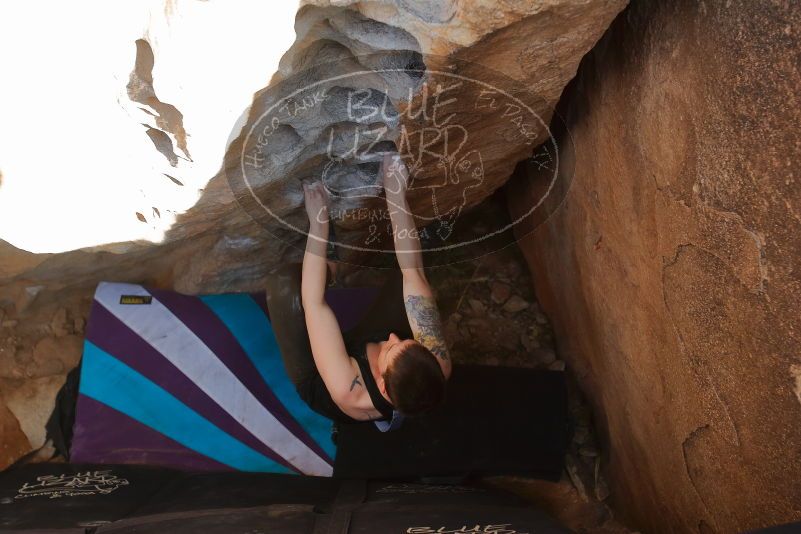 Bouldering in Hueco Tanks on 02/17/2020 with Blue Lizard Climbing and Yoga

Filename: SRM_20200217_1633540.jpg
Aperture: f/4.0
Shutter Speed: 1/320
Body: Canon EOS-1D Mark II
Lens: Canon EF 16-35mm f/2.8 L