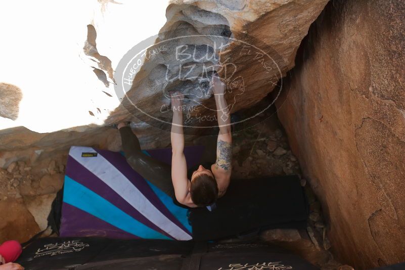 Bouldering in Hueco Tanks on 02/17/2020 with Blue Lizard Climbing and Yoga

Filename: SRM_20200217_1634250.jpg
Aperture: f/3.5
Shutter Speed: 1/320
Body: Canon EOS-1D Mark II
Lens: Canon EF 16-35mm f/2.8 L