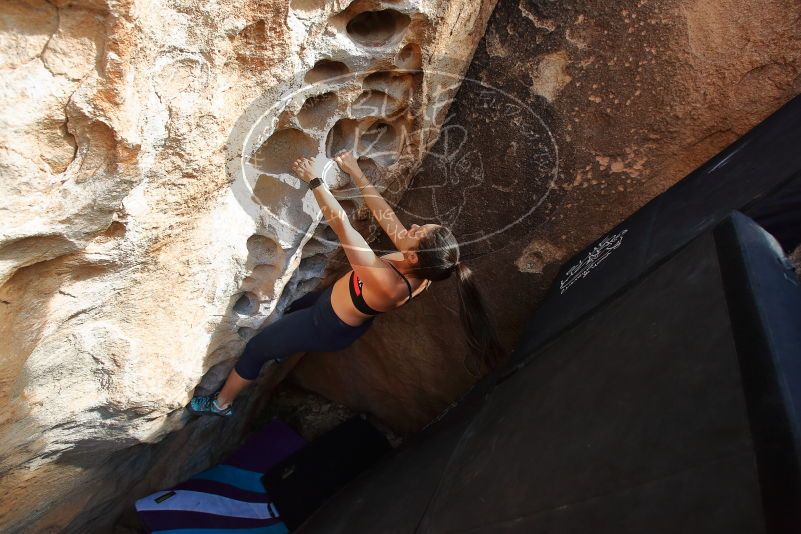 Bouldering in Hueco Tanks on 02/17/2020 with Blue Lizard Climbing and Yoga

Filename: SRM_20200217_1638270.jpg
Aperture: f/5.0
Shutter Speed: 1/250
Body: Canon EOS-1D Mark II
Lens: Canon EF 16-35mm f/2.8 L