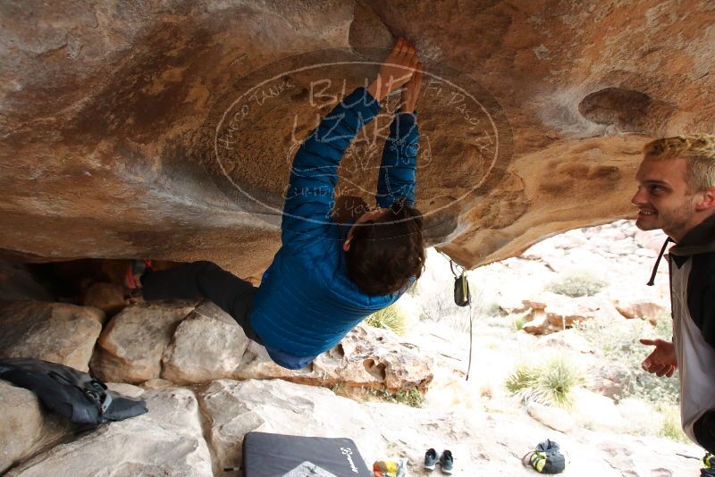 Bouldering in Hueco Tanks on 02/21/2020 with Blue Lizard Climbing and Yoga

Filename: SRM_20200221_1050300.jpg
Aperture: f/4.5
Shutter Speed: 1/250
Body: Canon EOS-1D Mark II
Lens: Canon EF 16-35mm f/2.8 L