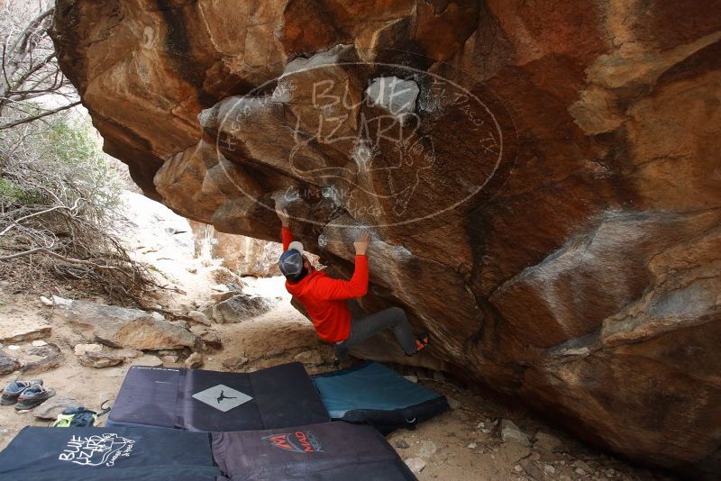 Bouldering in Hueco Tanks on 02/21/2020 with Blue Lizard Climbing and Yoga

Filename: SRM_20200221_1423370.jpg
Aperture: f/4.0
Shutter Speed: 1/250
Body: Canon EOS-1D Mark II
Lens: Canon EF 16-35mm f/2.8 L