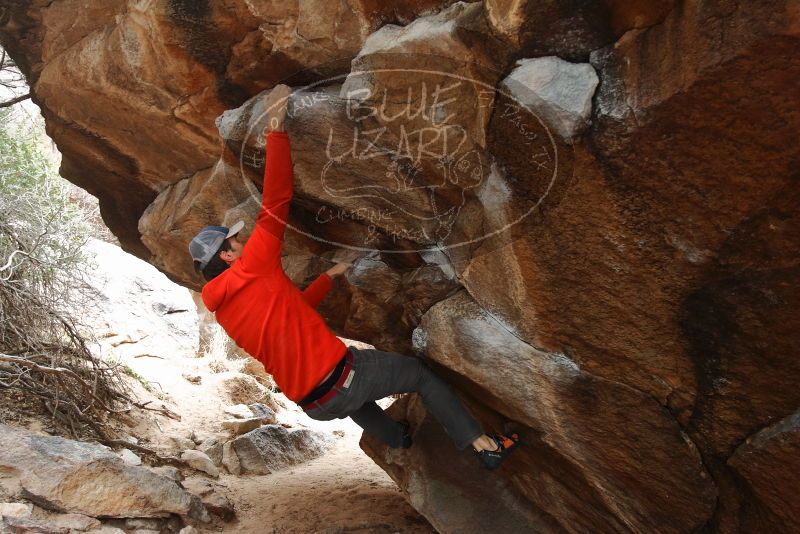 Bouldering in Hueco Tanks on 02/21/2020 with Blue Lizard Climbing and Yoga

Filename: SRM_20200221_1423420.jpg
Aperture: f/4.5
Shutter Speed: 1/250
Body: Canon EOS-1D Mark II
Lens: Canon EF 16-35mm f/2.8 L