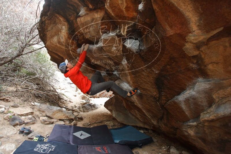 Bouldering in Hueco Tanks on 02/21/2020 with Blue Lizard Climbing and Yoga

Filename: SRM_20200221_1423450.jpg
Aperture: f/4.5
Shutter Speed: 1/250
Body: Canon EOS-1D Mark II
Lens: Canon EF 16-35mm f/2.8 L