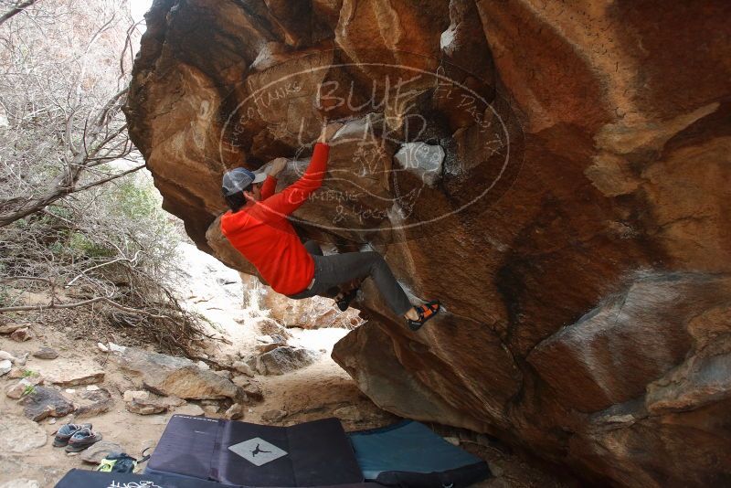 Bouldering in Hueco Tanks on 02/21/2020 with Blue Lizard Climbing and Yoga

Filename: SRM_20200221_1423480.jpg
Aperture: f/4.5
Shutter Speed: 1/250
Body: Canon EOS-1D Mark II
Lens: Canon EF 16-35mm f/2.8 L