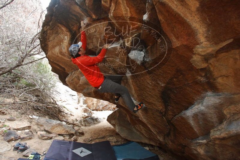 Bouldering in Hueco Tanks on 02/21/2020 with Blue Lizard Climbing and Yoga

Filename: SRM_20200221_1423510.jpg
Aperture: f/4.5
Shutter Speed: 1/250
Body: Canon EOS-1D Mark II
Lens: Canon EF 16-35mm f/2.8 L