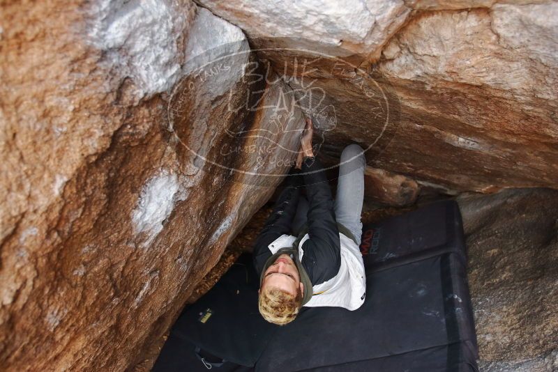 Bouldering in Hueco Tanks on 02/21/2020 with Blue Lizard Climbing and Yoga

Filename: SRM_20200221_1556260.jpg
Aperture: f/4.0
Shutter Speed: 1/250
Body: Canon EOS-1D Mark II
Lens: Canon EF 16-35mm f/2.8 L