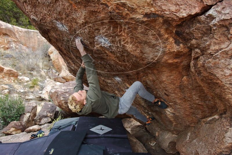 Bouldering in Hueco Tanks on 02/21/2020 with Blue Lizard Climbing and Yoga

Filename: SRM_20200221_1809130.jpg
Aperture: f/4.0
Shutter Speed: 1/250
Body: Canon EOS-1D Mark II
Lens: Canon EF 16-35mm f/2.8 L