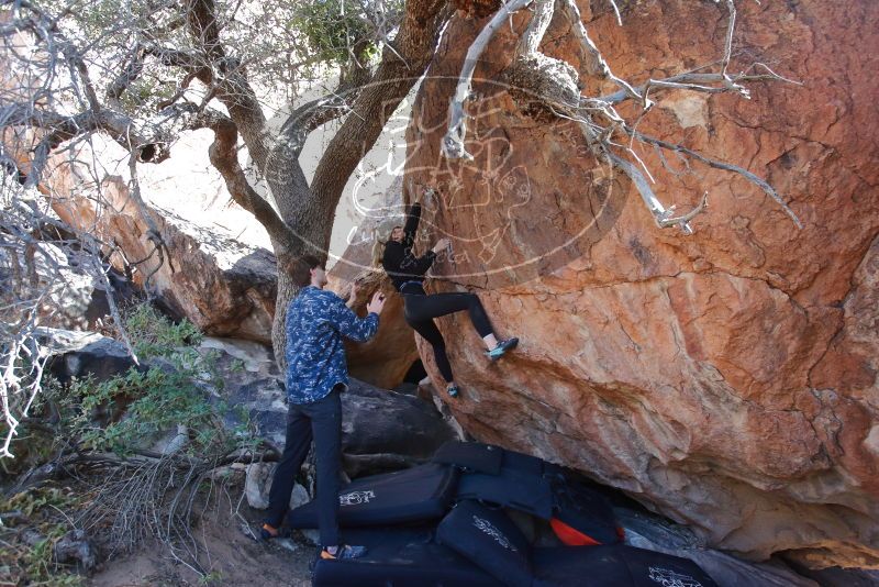 Bouldering in Hueco Tanks on 02/25/2020 with Blue Lizard Climbing and Yoga

Filename: SRM_20200225_1125280.jpg
Aperture: f/5.0
Shutter Speed: 1/250
Body: Canon EOS-1D Mark II
Lens: Canon EF 16-35mm f/2.8 L