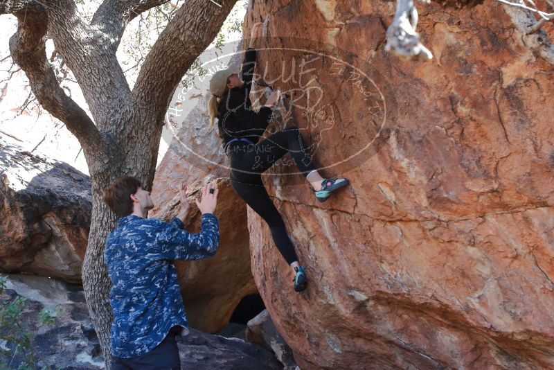 Bouldering in Hueco Tanks on 02/25/2020 with Blue Lizard Climbing and Yoga

Filename: SRM_20200225_1125400.jpg
Aperture: f/5.0
Shutter Speed: 1/250
Body: Canon EOS-1D Mark II
Lens: Canon EF 16-35mm f/2.8 L