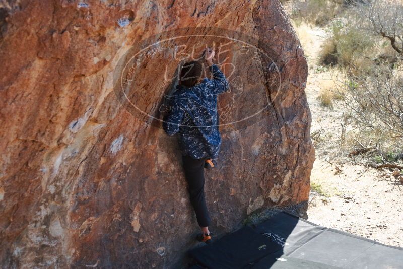 Bouldering in Hueco Tanks on 02/25/2020 with Blue Lizard Climbing and Yoga

Filename: SRM_20200225_1209120.jpg
Aperture: f/3.5
Shutter Speed: 1/320
Body: Canon EOS-1D Mark II
Lens: Canon EF 50mm f/1.8 II