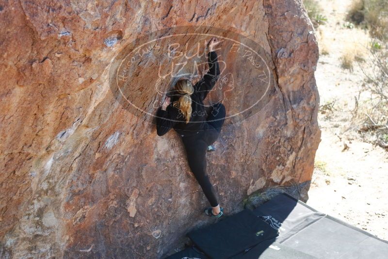 Bouldering in Hueco Tanks on 02/25/2020 with Blue Lizard Climbing and Yoga

Filename: SRM_20200225_1211150.jpg
Aperture: f/3.5
Shutter Speed: 1/320
Body: Canon EOS-1D Mark II
Lens: Canon EF 50mm f/1.8 II