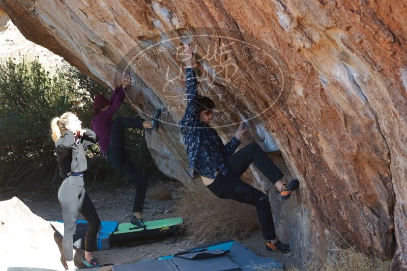 Bouldering in Hueco Tanks on 02/25/2020 with Blue Lizard Climbing and Yoga

Filename: SRM_20200225_1215230.jpg
Aperture: f/4.5
Shutter Speed: 1/320
Body: Canon EOS-1D Mark II
Lens: Canon EF 50mm f/1.8 II