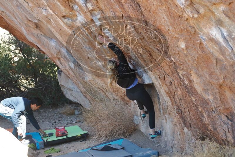 Bouldering in Hueco Tanks on 02/25/2020 with Blue Lizard Climbing and Yoga

Filename: SRM_20200225_1216490.jpg
Aperture: f/3.5
Shutter Speed: 1/320
Body: Canon EOS-1D Mark II
Lens: Canon EF 50mm f/1.8 II