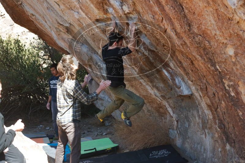 Bouldering in Hueco Tanks on 02/25/2020 with Blue Lizard Climbing and Yoga

Filename: SRM_20200225_1222030.jpg
Aperture: f/4.5
Shutter Speed: 1/320
Body: Canon EOS-1D Mark II
Lens: Canon EF 50mm f/1.8 II