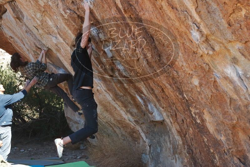 Bouldering in Hueco Tanks on 02/25/2020 with Blue Lizard Climbing and Yoga

Filename: SRM_20200225_1233190.jpg
Aperture: f/4.5
Shutter Speed: 1/320
Body: Canon EOS-1D Mark II
Lens: Canon EF 50mm f/1.8 II