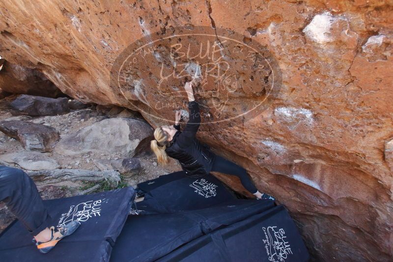 Bouldering in Hueco Tanks on 02/25/2020 with Blue Lizard Climbing and Yoga

Filename: SRM_20200225_1343150.jpg
Aperture: f/4.0
Shutter Speed: 1/250
Body: Canon EOS-1D Mark II
Lens: Canon EF 16-35mm f/2.8 L